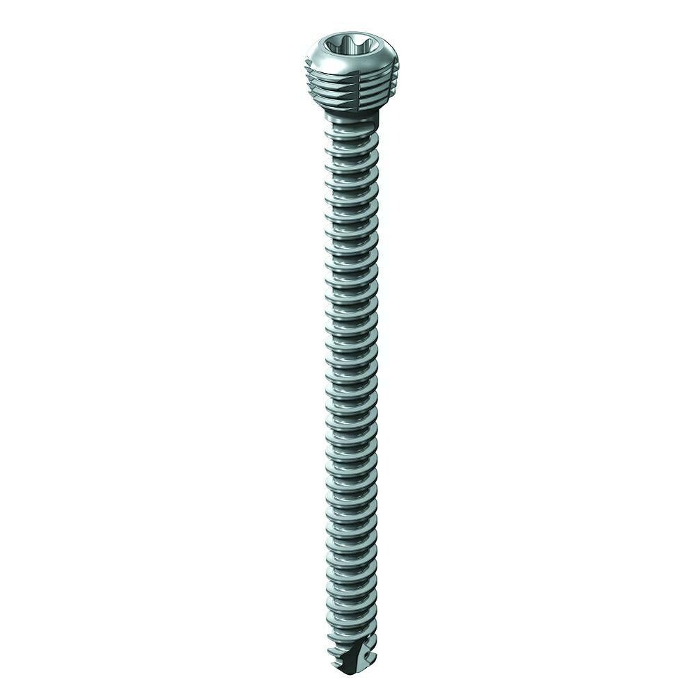 torxwk6